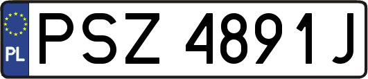 PSZ4891J