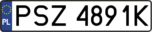 PSZ4891K