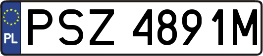 PSZ4891M