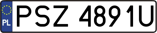 PSZ4891U