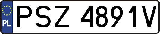 PSZ4891V