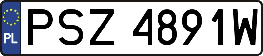 PSZ4891W