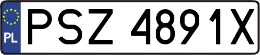 PSZ4891X