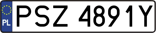 PSZ4891Y