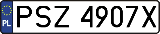 PSZ4907X