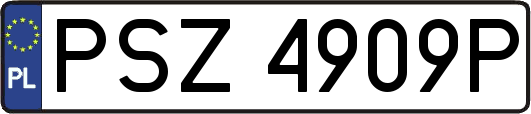PSZ4909P