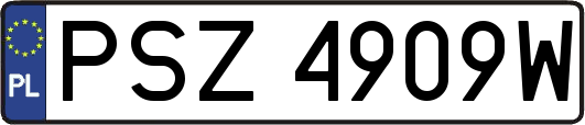 PSZ4909W