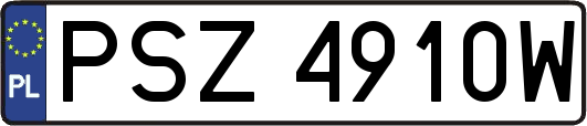 PSZ4910W
