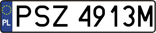 PSZ4913M