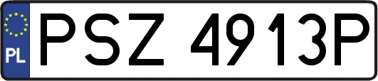PSZ4913P