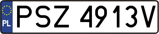 PSZ4913V