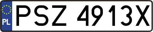 PSZ4913X