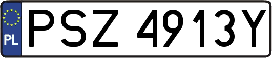 PSZ4913Y