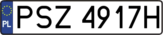 PSZ4917H