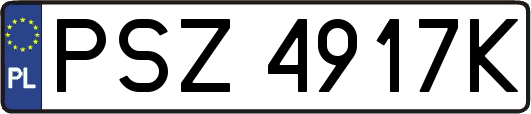 PSZ4917K