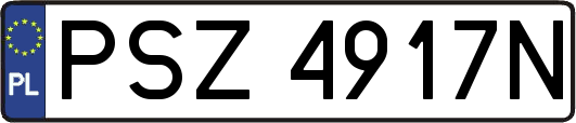 PSZ4917N