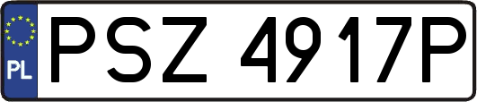 PSZ4917P