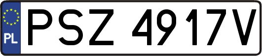 PSZ4917V