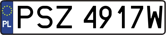 PSZ4917W