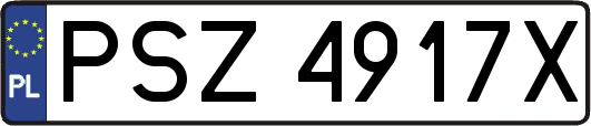 PSZ4917X