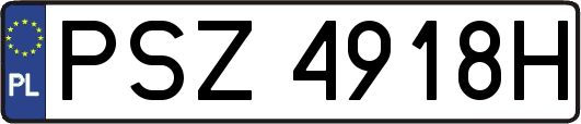 PSZ4918H