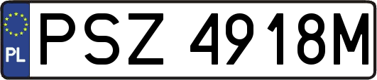 PSZ4918M