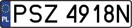 PSZ4918N