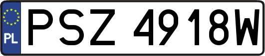 PSZ4918W