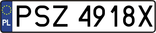 PSZ4918X