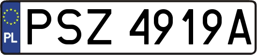 PSZ4919A