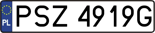 PSZ4919G