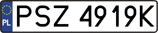 PSZ4919K