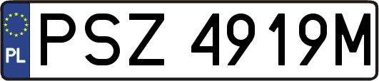 PSZ4919M