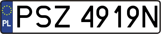 PSZ4919N