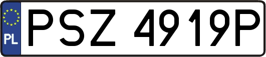 PSZ4919P