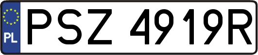PSZ4919R