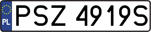PSZ4919S
