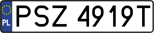 PSZ4919T
