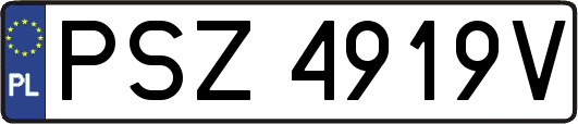 PSZ4919V