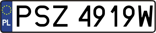 PSZ4919W