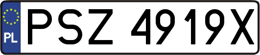 PSZ4919X