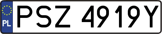 PSZ4919Y