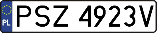 PSZ4923V
