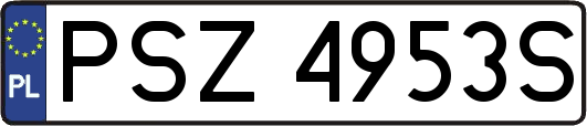 PSZ4953S
