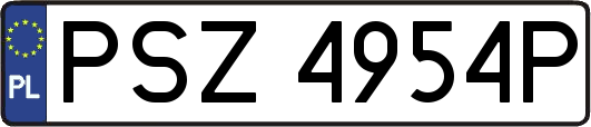 PSZ4954P