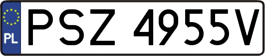 PSZ4955V