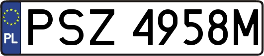PSZ4958M