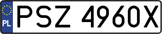 PSZ4960X