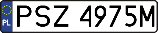 PSZ4975M