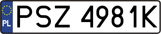 PSZ4981K